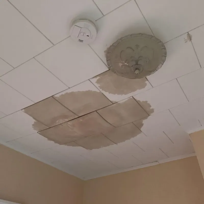 Ceiling Water Damage Repair in North Westport, MA