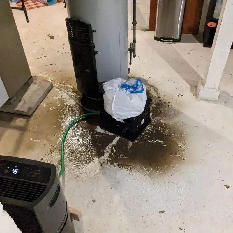 Sewage Backup Cleanup Service in North Westport, MA